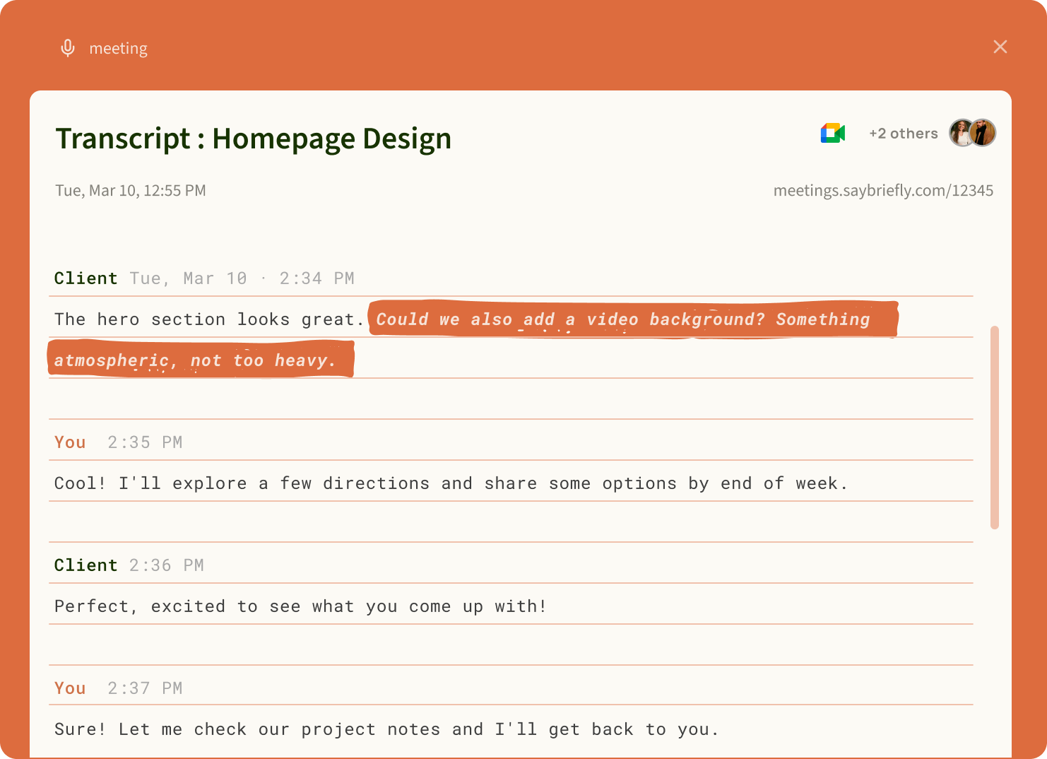 SayBriefly meeting transcript view